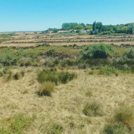 Au Marais Calme 10 Mn Ronce Les Bains Vue Marais Casa de Férias *